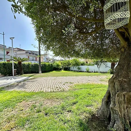 Bed & Breakfast Raphael 3*